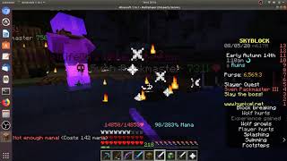 How to Kill Sven Packmaster Tier 3 on Hypixel Sky Block [upl. by Thisbe849]