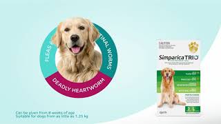 Simparica Flea and Tick Protection for Dogs by Zoetis – VetSupply  Pet Care  Pet Supplies [upl. by Dwyer212]