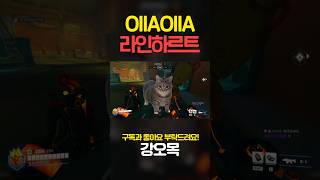 OIIA OIIA 라인하르트 [upl. by Haliek]