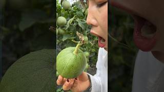 Farm Fresh Ninja Fruit Cutting  Oddly satisfyingfruit [upl. by Ashmead962]