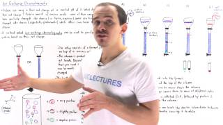 Ion Exchange Chromatography [upl. by Silvers]