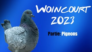 Exposition avicole Woincourt 2023 Partie pigeons [upl. by Ennairam186]