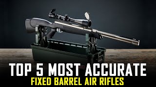 Top 5 Most Accurate Fixed Barrel Air Rifles of 2021  Best Springer Air Rifles [upl. by Aminta]