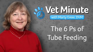 Vet Minute The 6 Ps of Tube Feeding [upl. by Elacsap]