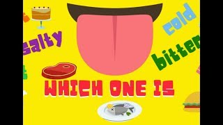 Which one Food quiz Sense of taste [upl. by Qerat]