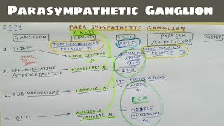 Parasympathetic Ganglion 1 Ciliary Sphenopalatine Submandibular Otic Ganglion  TCML [upl. by Linzy]