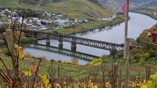 Wanderung oberhalb Pünderich Burg Arras Prinzenkopf Kanonenbahn [upl. by Brandwein869]