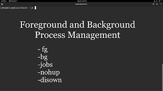 Linux Foreground and Background Process Management [upl. by Eisyak]