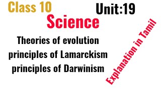 claas10Unit19 Theories of Evolution principles of Lamarckism Darwinism Explanation in Tamil [upl. by Ynneh51]