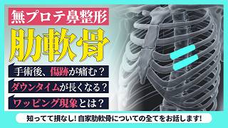 鼻整形、肋軟骨を使うと傷跡が心配？基本的な知識から正しい管理方法までお伝えします！【韓国整形】 [upl. by Cerys]