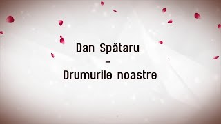 Dan Spataru  Drumurile noastre versuri lyrics karaoke [upl. by Whitford]