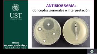 ANTIBIOGRAMAS  Conceptos generales e interpretación [upl. by Prober]