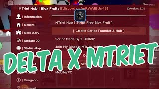 DELTA EXECUTOR X Minhtriettt HUB KEYLESS SCRIPT [upl. by Enelcaj]