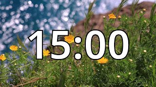 15 Minutes Timer with Music  Spring Timer [upl. by Akins]