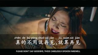 Learn Chinese Through Songs【GEM  再见 Zài Jiàn  Goodbye with English  Pinyin】 [upl. by Atronna]