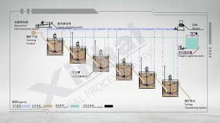 Leaching tank flow process CIP CIL [upl. by Nathalie]