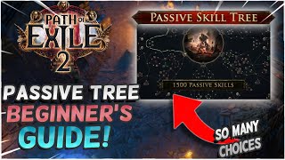 PASSIVE TREE Beginners Guide For Path of Exile 2 Early Access [upl. by Ribaudo]