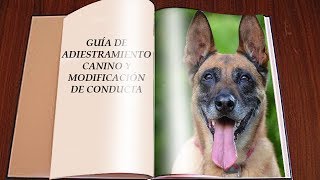 Guía básica de adiestramiento canino y modificación de conducta de perros [upl. by Arebma]