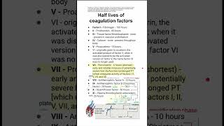 Half lives of coagulation factors [upl. by Llerroj849]