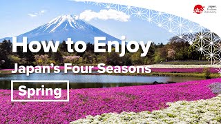 How to Enjoy Japans Four Seasons  Spring [upl. by Aelaza232]