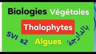 Biologies végétales Thallophytes partie 2 avec les question de lexamen [upl. by Auhsej]