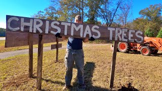 How We Do It Homestead Christmas Tree Farming [upl. by Thorsten]