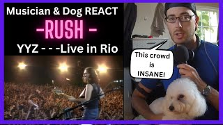 Musician REACTS to RUSH  YYZ Rio [upl. by Ahtebat]