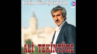 ALİ TEKİNTÜRE  BENİ BIRAKIP GİTME [upl. by Fineberg]