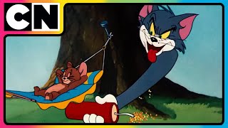 Tom amp Jerry 😺🐭 Pranks Galore with Tom amp Jerry 😝 Cat and mouse Cartoon  tomandjerry  cnindia [upl. by Reahard]