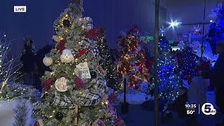 43rd Annual Holiday Tree Festival lights up downtown Akron [upl. by Lodnar543]