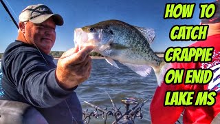 CATCHING CRAPPIE ON ENID LAKE MISSISSIPPI [upl. by Gavrilla981]