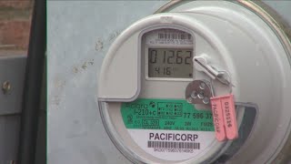 NYSEG to install smart electric meters [upl. by Ainosal]