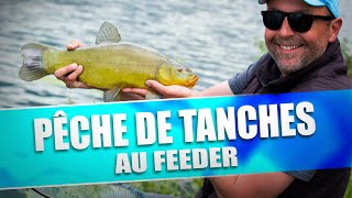 PÊCHE DE TANCHES AU FEEDER [upl. by Aehs]