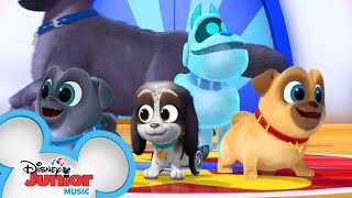 Puppy Playcare Song 🐾  Music Video  Puppy Dog Pals  Disney Junior [upl. by Ysiad]