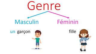 Grammaire  Le genre du nom  masculin et féminin CP  CE1 [upl. by Raman]