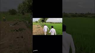 ANNAIAH IN FIELD ☝️SUBSCRIBE harishraoteam BharatRashtraSamithiParty KCRAdda [upl. by Niro]