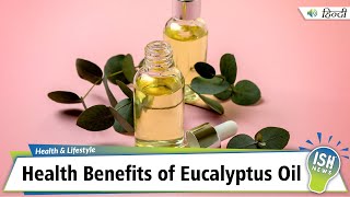 Health Benefits of Eucalyptus Oil [upl. by Busey]