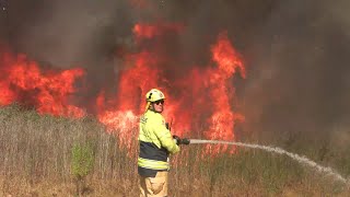 10th Alarm Rapid moving Grass Fire  Ingleburn NSW RAW FOOTAGE [upl. by Nahshun]