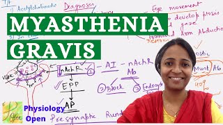 Myasthenia gravis physiology mbbs lecture [upl. by Nahta358]