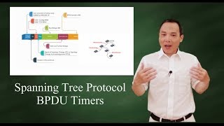 Spanning Tree Protocol  BPDU Timers [upl. by Jandy]