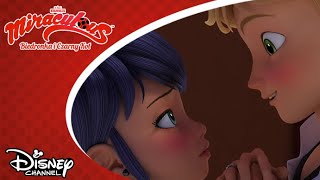 🎭 Twarzą w twarz  Miraculous Biedronka i Czarny Kot  Disney Channel Polska [upl. by Adkins]