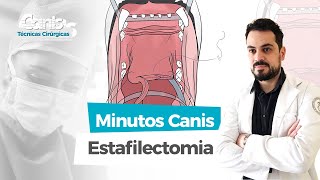 Estafilectomia  Minutos Canis  Técnicas Cirúrgicas [upl. by Eiboj]