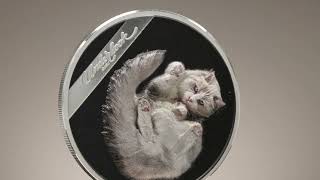 2024 Cook Islands 1 Ounce Underlook Under Cat High Relief Silver Proof Coin [upl. by Atsed930]