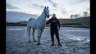 Kizo  PEGAZ prodHubi x Michał Graczyk [upl. by Myrilla]