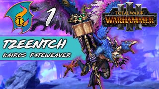 ORACLES OF TZEENTCH  Total War Warhammer 3  Part 1 [upl. by Martres]