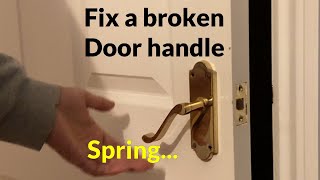 How to fix a Loose Door Handle  Replace broken spring [upl. by Yunfei]