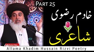 Allama Khadim Hussain Rizvi Poetry Part 25  Best Poetry Collection Of Rizvi Sahib [upl. by Akenehs]