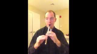 Tin Whistle Lesson Drowsy Maggie [upl. by Martha245]