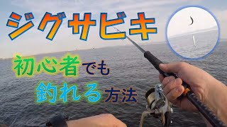 【ジグサビキ】やり方解説。初心者の方必見です‼釣り方動画です。 [upl. by Hughie]