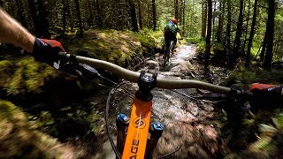 NOTHING BUT THE BEAST  Mountain Biking Coed y Brenin in Wales [upl. by Trebuh]